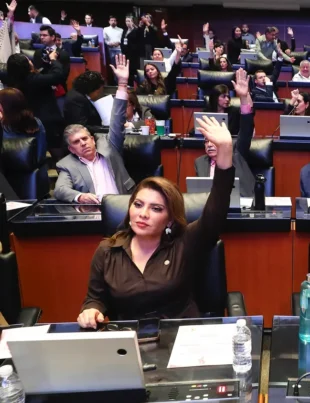 Aprobación histórica en el Senado: Modificaciones a la Ley de Amparo buscan mayor justicia para víctimas de violencia y abuso
