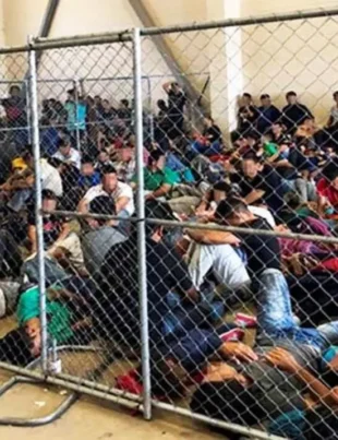 "Trump en el Fuego Cruzado: Denuncias de Acoso y Violación de Derechos Humanos Contra Migrantes Exiguen Justicia"